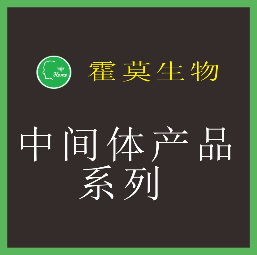 中間體